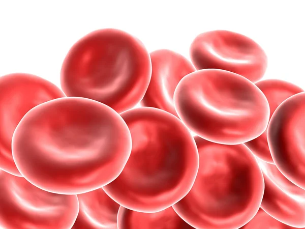 Rote Blutkörperchen Auf Weißem Hintergrund Darstellung — Stockfoto