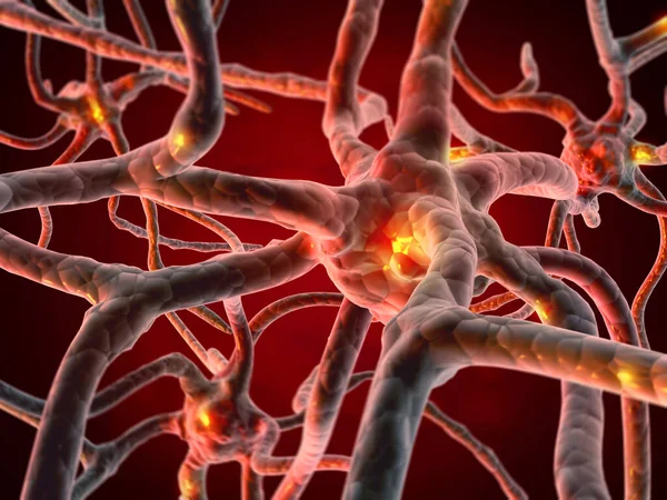 Neuraal Netwerk Hersenen Zenuwstelsel Neuronen Renderen — Stockfoto
