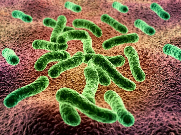 Bacteriën Cellen Achtergrond Renderen — Stockfoto
