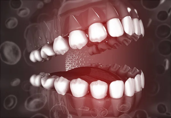 Fen Geçmişinde Diş Anatomisi Hazırlayıcı — Stok fotoğraf