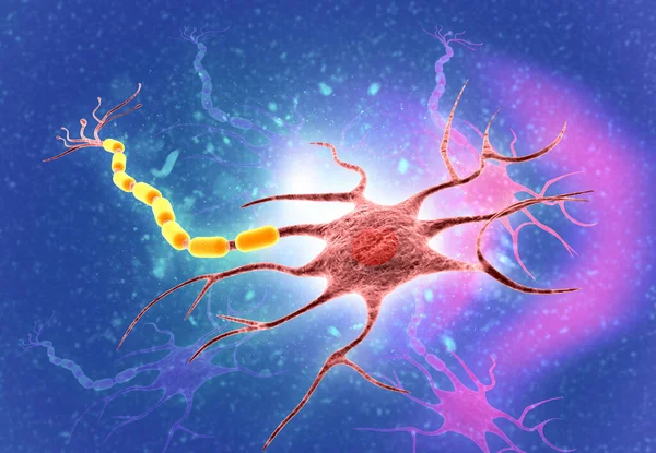 Rede Neural Cérebro Sistema Nervoso Neurónios Renderização — Fotografia de Stock