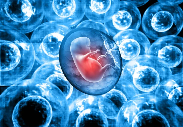 Human Fetus Abstract Background Render — Stock Photo, Image