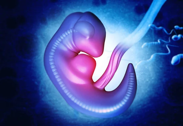 有抽象背景的人类胎儿 3D渲染 — 图库照片