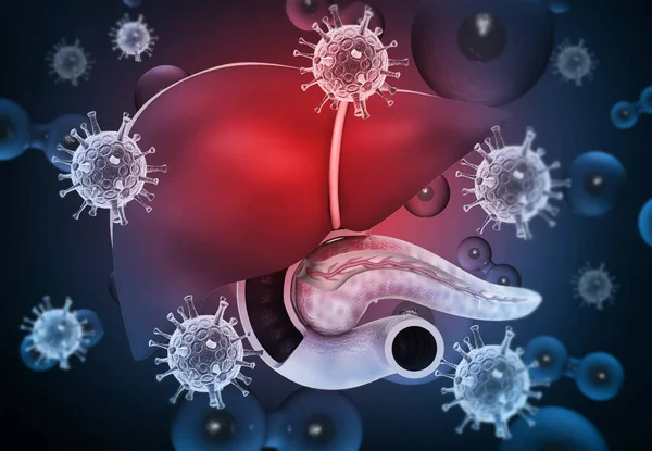 Hígado Humano Con Virus Hepatitis Ilustración — Foto de Stock