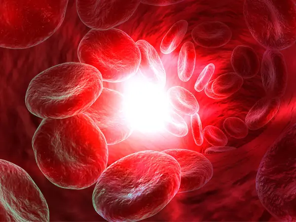 红血球背景 3D渲染 — 图库照片