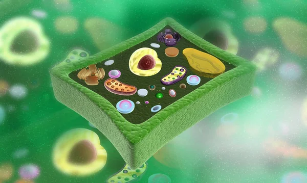 Plant cells anatomy on abstract background. 3d illustration