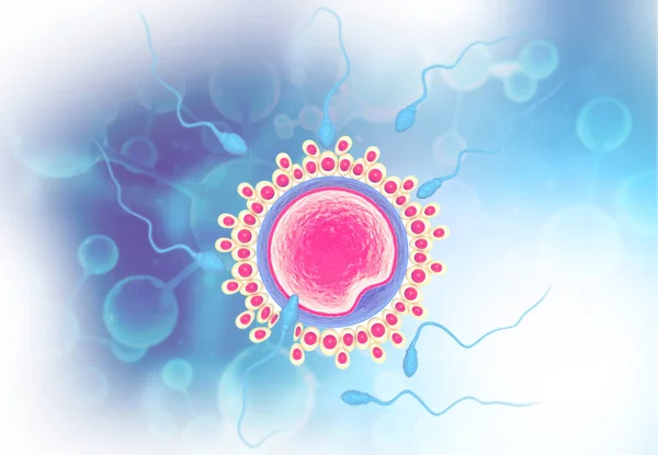 Bilimsel Arka Planda Sperm Yumurta Hücresi Illüstrasyon — Stok fotoğraf