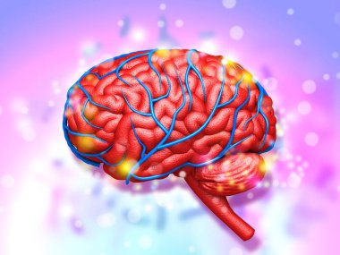 Human brain anatomy on colorfull medical background	 clipart