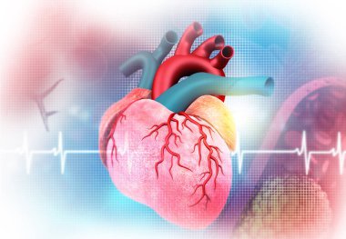 İnsan Kalbi ve EKG EKG grafiği. 3d illüstrasyon