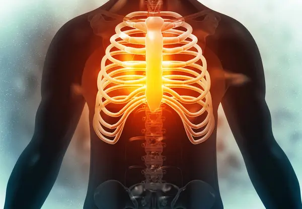 Menschliche Skelettrippen Auf Medizinischem Hintergrund Illustration — Stockfoto