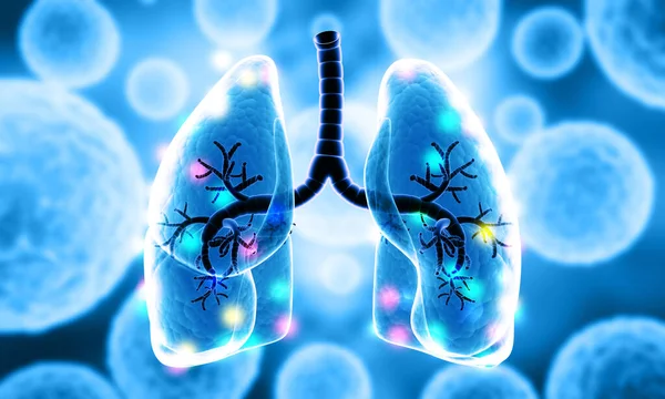 Tıbbi geçmişinde insan akciğerleri anatomisi var. 3d illüstrasyon