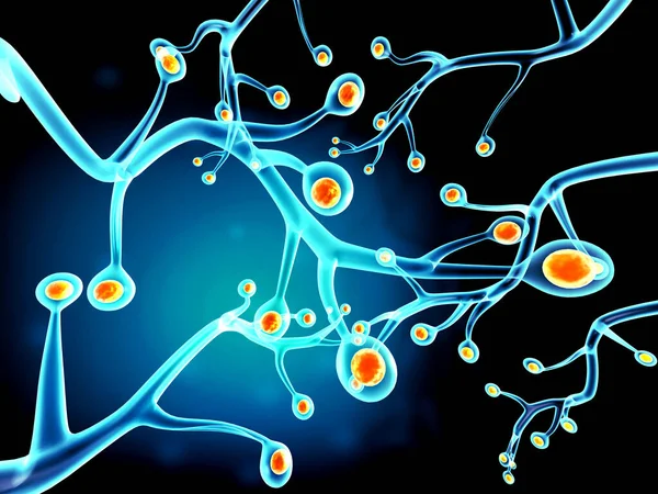 Neurales Netzwerk Gehirn Nervensystem Neuronen Darstellung — Stockfoto