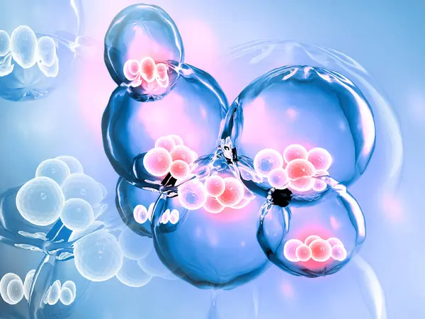 Stem Cells Illustration — Stock Photo, Image