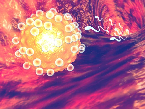 Sperma Med Ägg Abstrakt Medicinsk Bakgrund Illustration — Stockfoto