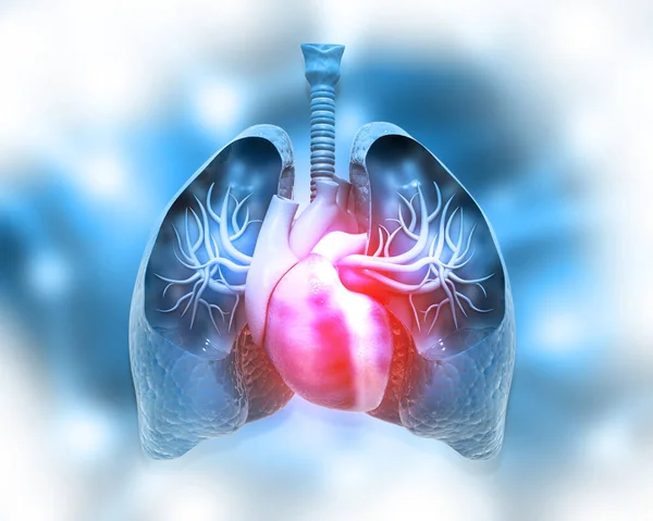 Ludzkie Płuca Serce Abstrakcyjnym Tle Medycznym Ilustracja — Zdjęcie stockowe