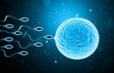Sperm ve yumurta hücresinin mikroskobik görüntüsü. 3d illüstrasyon