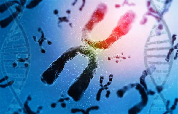 Human chromosomes with dna on abstract background. 3d illustration