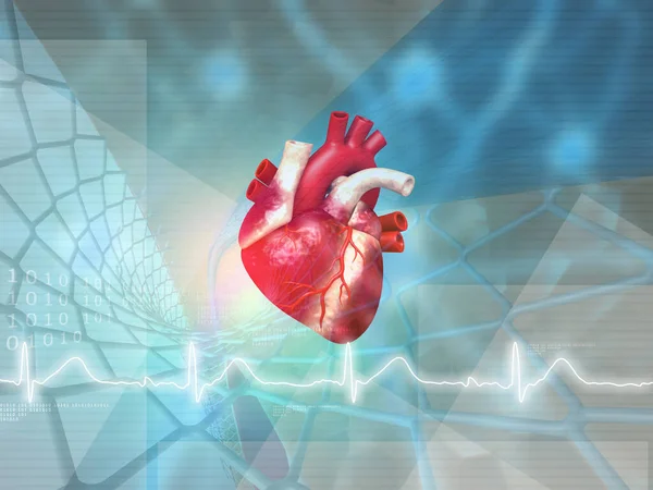 心脏健康的概念 抽象的医学背景 3D说明 — 图库照片