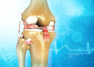 Tıbbi arka planda insan diz eklemi anatomisi. 3d illüstrasyon 