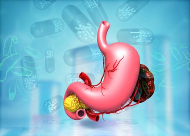 Bilim geçmişinde insan midesi anatomisi. 3d illüstrasyon