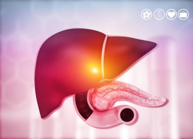 Tıbbi geçmişinde insan karaciğeri anatomisi var. 3d illüstrasyon