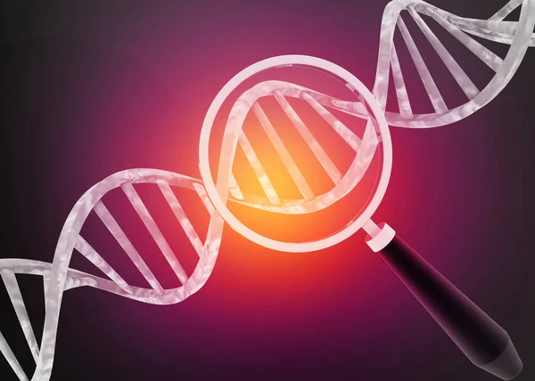 Dna Kedja Med Förstoringsglas Dna Analys Återgivning — Stockfoto