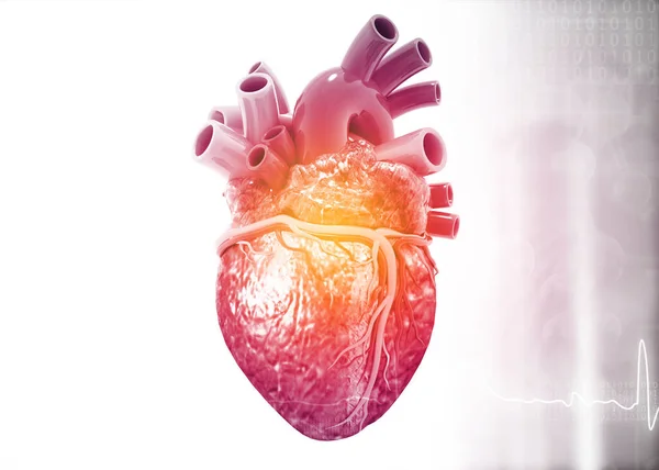 人类心脏解剖 3D渲染 — 图库照片