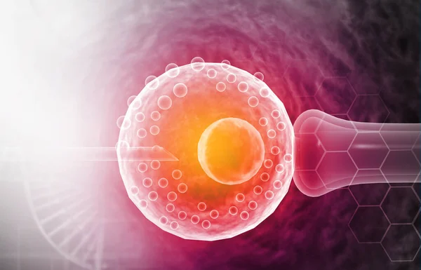 Laboratoriummicroscopisch Beeld Van Vitro Fertilisatie Illustratie — Stockfoto