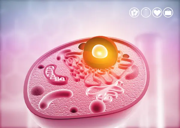 Anatomy of a cell on science background. 3d illustration