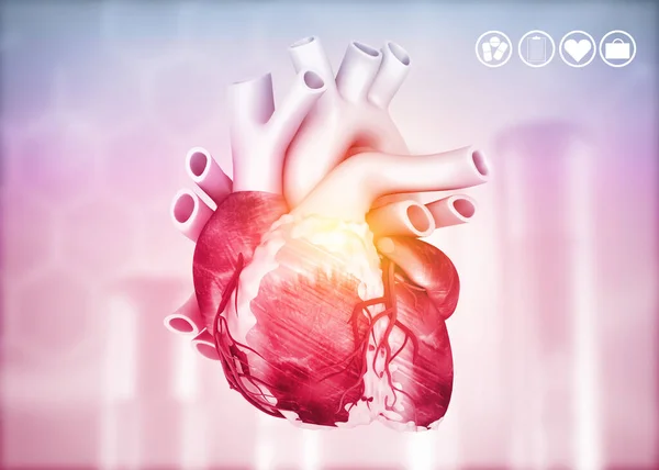 Anatomía Del Corazón Humano Fondo Médico Renderizar — Foto de Stock