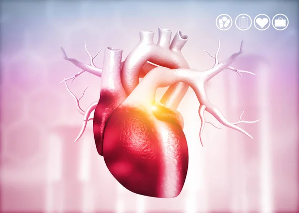 Anatomie Van Het Menselijk Hart Medische Achtergrond Renderen — Stockfoto