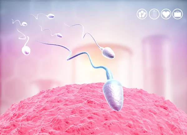 Huevos Humanos Esperma Espermatozoides Nadando Hasta Los Óvulos Ilustración — Foto de Stock