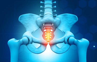 Kalça ağrısı ve pelvis anatomisi. 3d illüstrasyon