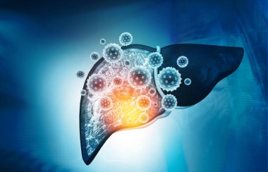 Virüs insan karaciğerine saldırır. 3d illüstrasyon