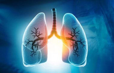 Mavi arka planda insan ciğerleri anatomisi. 3d illüstrasyon