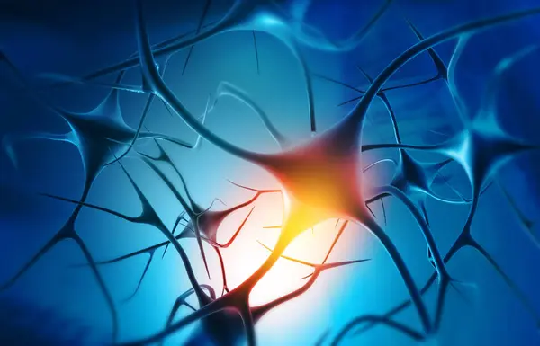 Nervenzellen Und Nervensystem Auf Wissenschaftlichem Hintergrund Illustration — Stockfoto