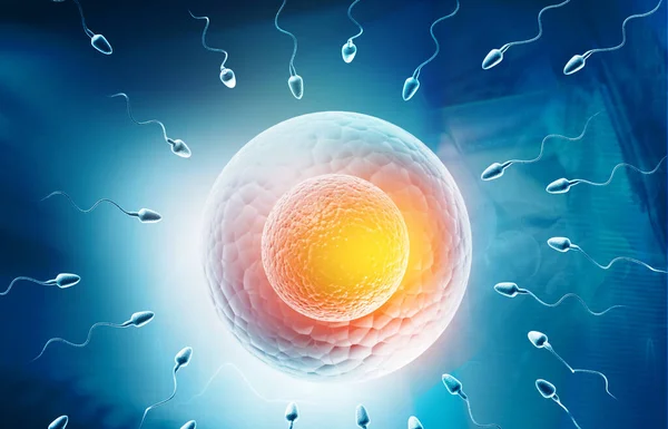 Menselijke Eitjes Sperma Sperma Dat Naar Zwemt Illustratie — Stockfoto