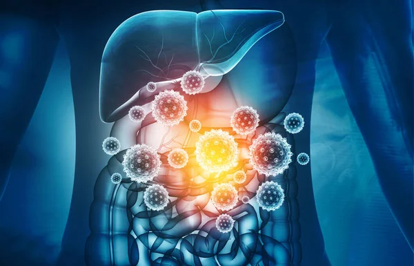 Virus Attacks Human Digestive System Illustration — Stock Photo, Image