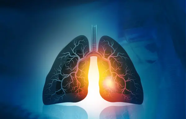 Anatomía Los Pulmones Humanos Sobre Fondo Azul Renderizar —  Fotos de Stock