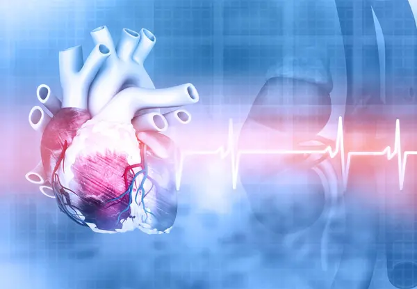 Medical background with human heart. 3d illustration