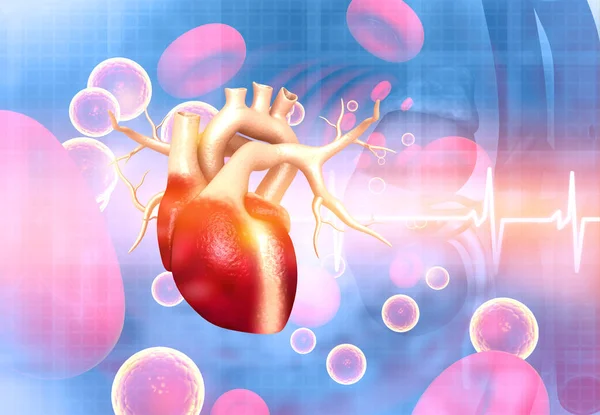 Medical Background Human Heart Illustration — Stock Photo, Image