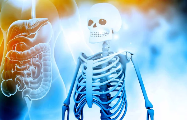 Human Skeleton Medical Background Illustration — Stock Photo, Image