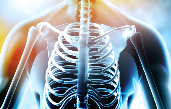 Human body with rib skeleton on medical background. 3d illustration	