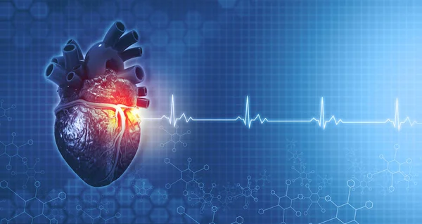 Anatomia Coração Humano Ecg Fundo Médico Renderização — Fotografia de Stock