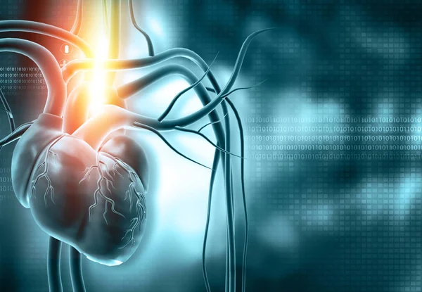 Anatomía Del Corazón Humano Sobre Fondo Científico Azul Ilustración — Foto de Stock