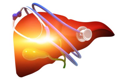 Beyaz arka planda steteskoplu insan ciğeri. Karaciğer bakımı ve koruma konsepti. 3d illüstrasyon