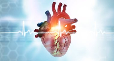 Ekonomik sağlık geçmişinde insan kalbi anatomisi. 3d hazırlayıcı