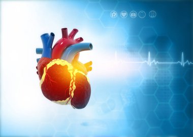 Tıbbi geçmişinde insan kalbi anatomisi var. Steteskoplu kalp. 3d illüstrasyon