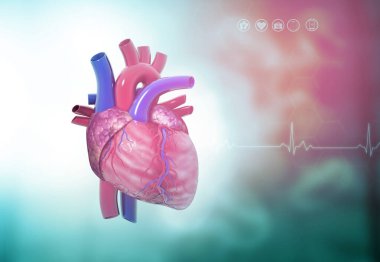 Tıbbi geçmişinde insan kalbi anatomisi var. Steteskoplu kalp. 3d illüstrasyon