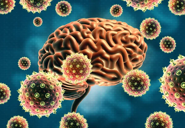 Viral Infection Human Brain Illustration — Stock Photo, Image